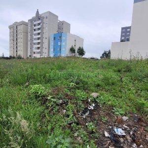 Terreno com 720m², no bairro Charqueadas em Caxias do Sul para Alugar