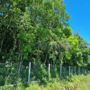 Chácara com 32710m², no bairro Linha Feijo em Caxias do Sul para Comprar