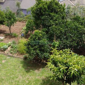 Casa com 182m², 3 dormitórios, 1 vaga, no bairro Colina Sorriso em Caxias do Sul para Comprar