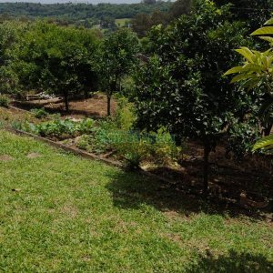 Casa com 182m², 3 dormitórios, 1 vaga, no bairro Colina Sorriso em Caxias do Sul para Comprar