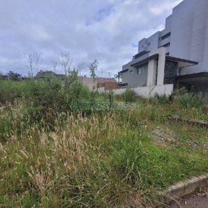 Terreno com 384m², no bairro Vila Verde em Caxias do Sul para Alugar