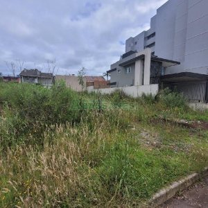 Terreno com 384m², no bairro Vila Verde em Caxias do Sul para Alugar