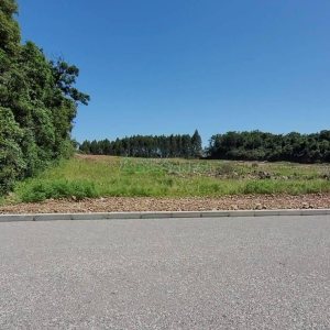 Terreno, no bairro Nossa Senhora das Graças em Caxias do Sul para Comprar