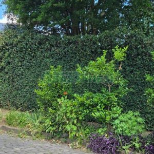 Casa, 2 dormitórios, no bairro Jardim América em Caxias do Sul para Comprar