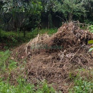 Casa com 106m², 4 dormitórios, 1 vaga, no bairro Marechal Floriano em Caxias do Sul para Comprar