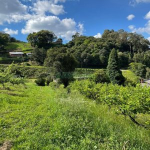 Terreno com 19262m², no bairro Diamantino em Caxias do Sul para Comprar