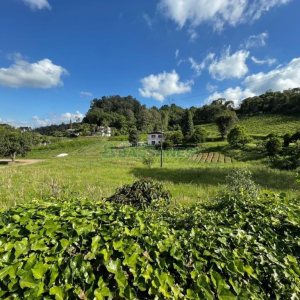 Terreno com 19262m², no bairro Diamantino em Caxias do Sul para Comprar
