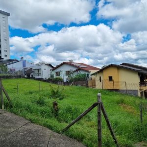Terreno com 338m², no bairro Panazzolo em Caxias do Sul para Comprar