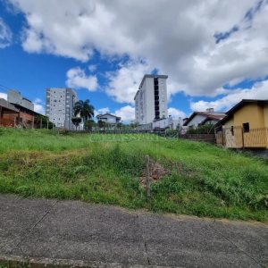 Terreno com 338m², no bairro Panazzolo em Caxias do Sul para Comprar