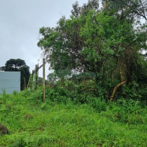 Terreno com 530m², no bairro Treviso em Caxias do Sul para Comprar