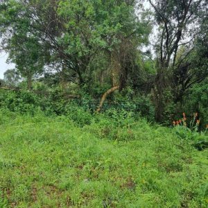 Terreno com 530m², no bairro Treviso em Caxias do Sul para Comprar