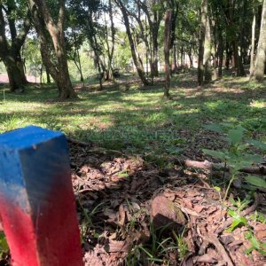 Terreno com 1397m², no bairro São Virgílio em Caxias do Sul para Comprar
