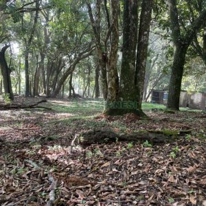 Terreno com 1397m², no bairro São Virgílio em Caxias do Sul para Comprar