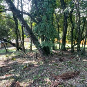 Terreno com 1313m², no bairro São Virgílio em Caxias do Sul para Comprar