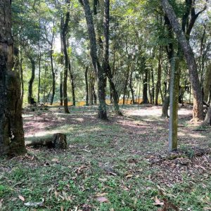 Terreno com 1313m², no bairro São Virgílio em Caxias do Sul para Comprar
