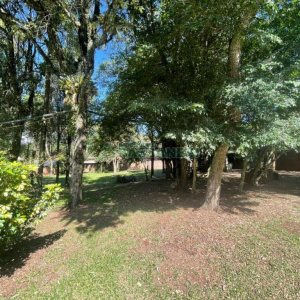 Terreno com 8000m², no bairro São Virgílio em Caxias do Sul para Comprar