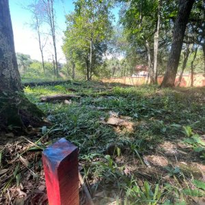 Terreno com 1271m², no bairro São Virgílio em Caxias do Sul para Comprar