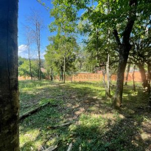 Terreno com 1271m², no bairro São Virgílio em Caxias do Sul para Comprar
