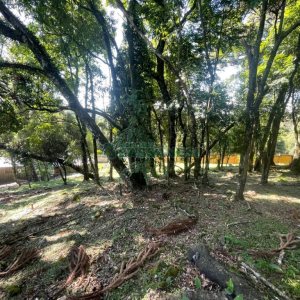 Terreno com 1094m², no bairro São Virgílio em Caxias do Sul para Comprar