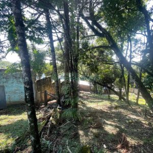 Terreno com 1094m², no bairro São Virgílio em Caxias do Sul para Comprar