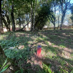 Terreno com 1279m², no bairro São Virgílio em Caxias do Sul para Comprar