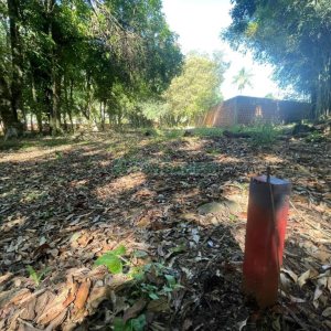 Terreno com 1279m², no bairro São Virgílio em Caxias do Sul para Comprar