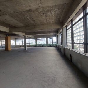 Sala com 600m², no bairro Centro em Caxias do Sul para Alugar