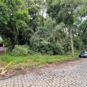 Terreno com 1500m², no bairro Serrano em Caxias do Sul para Comprar