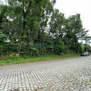 Terreno com 1500m², no bairro Serrano em Caxias do Sul para Comprar