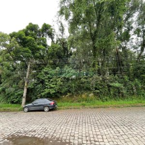 Terreno com 1500m², no bairro Serrano em Caxias do Sul para Comprar