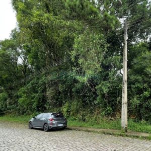 Terreno com 1500m², no bairro Serrano em Caxias do Sul para Comprar