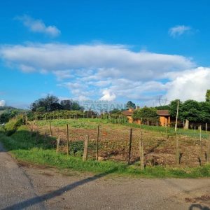 Chácara com 115365m², no bairro Monte Bérico em Caxias do Sul para Comprar