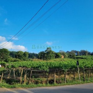 Chácara com 115365m², no bairro Monte Bérico em Caxias do Sul para Comprar