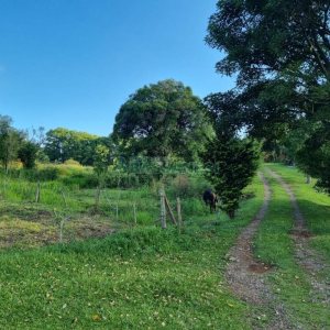 Chácara com 115365m², no bairro Monte Bérico em Caxias do Sul para Comprar