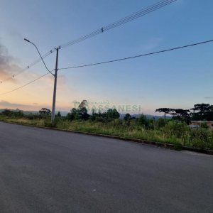 Terreno com 12250m², no bairro São Giácomo em Caxias do Sul para Comprar