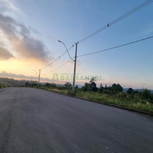 Terreno com 12250m², no bairro São Giácomo em Caxias do Sul para Comprar