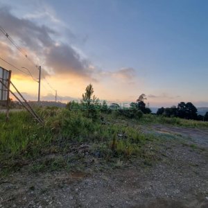 Terreno com 12250m², no bairro São Giácomo em Caxias do Sul para Comprar