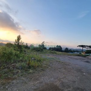 Terreno com 12250m², no bairro São Giácomo em Caxias do Sul para Comprar