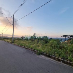 Terreno com 12250m², no bairro São Giácomo em Caxias do Sul para Comprar