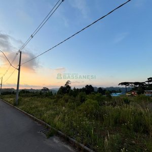 Terreno com 12250m², no bairro São Giácomo em Caxias do Sul para Comprar