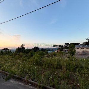 Terreno com 12250m², no bairro São Giácomo em Caxias do Sul para Comprar