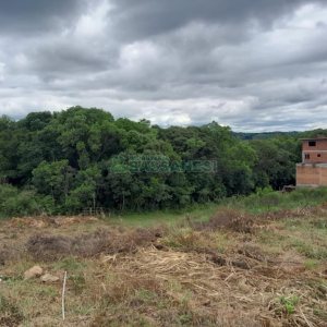 Terreno, no bairro Monte Bérico em Caxias do Sul para Comprar