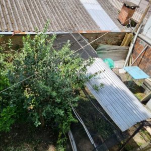 Casa com 197m², 3 dormitórios, 1 vaga, no bairro Pio X em Caxias do Sul para Comprar