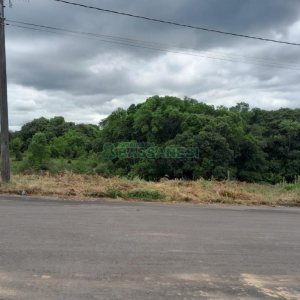 Terreno, no bairro Monte Bérico em Caxias do Sul para Comprar