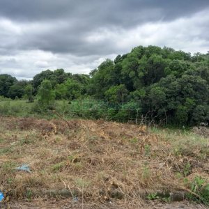 Terreno, no bairro Monte Bérico em Caxias do Sul para Comprar