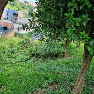 Terreno com 387m², no bairro Sanvitto em Caxias do Sul para Comprar