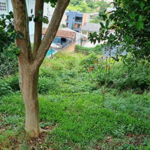 Terreno com 387m², no bairro Sanvitto em Caxias do Sul para Comprar
