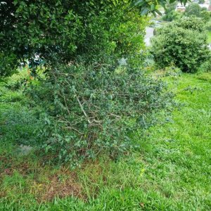 Terreno com 387m², no bairro Sanvitto em Caxias do Sul para Comprar