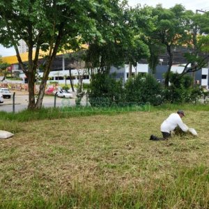 Terreno com 5000m², no bairro Exposição em Caxias do Sul para Comprar