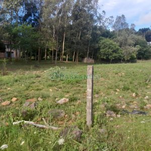 Terreno com 4700m², no bairro De Zorzi em Caxias do Sul para Comprar